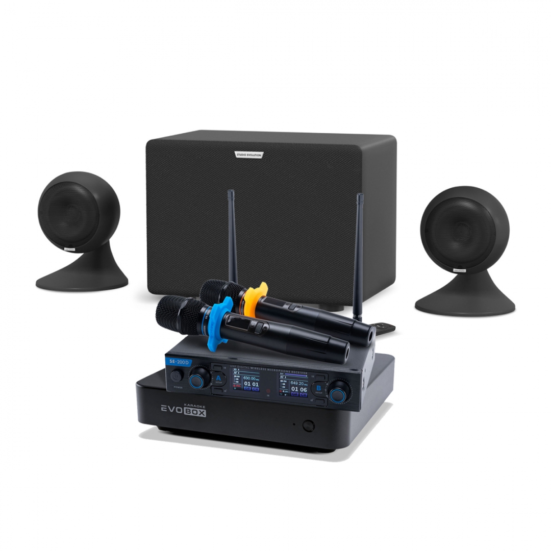 караоке-комплект EVOBOX + EvoSound Sphere 2.1 в Нытве