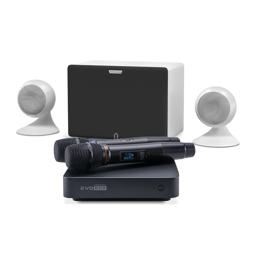 караоке-комплект EVOBOX Classic + EvoSound Sphere 2.1 в Нытве