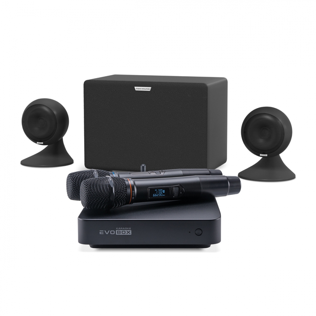 караоке-комплект EVOBOX Plus + EvoSound Sphere 2.1 в Нытве
