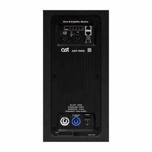 Активная акустическая система AST-310A в Нытве