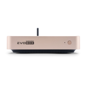 EVOBOX Classic караоке-система для дома в Нытве