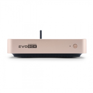 EVOBOX Plus караоке-система для дома в Нытве