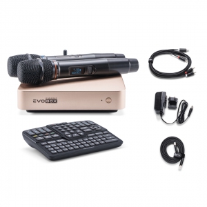EVOBOX Plus караоке-система для дома в Нытве