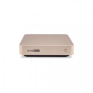 EVOBOX с микрофонами в Нытве
